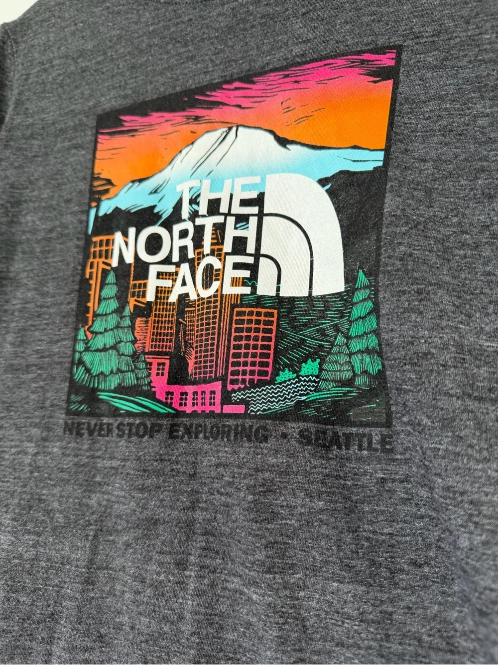 Rare The North Face Seattle Gray Graphic Tee S - Picture 3 of 5